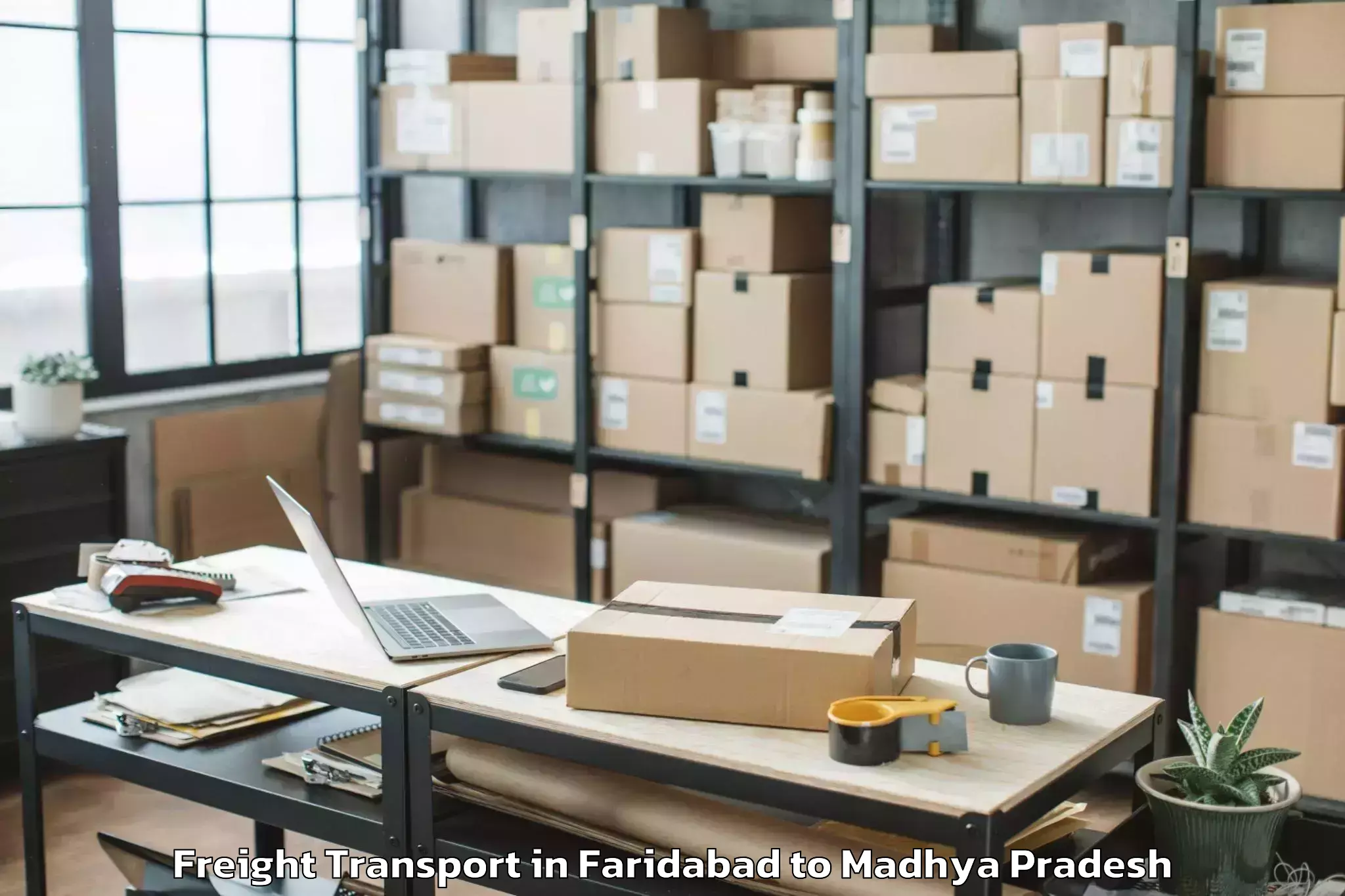 Trusted Faridabad to Db City Mall Bhopal Freight Transport